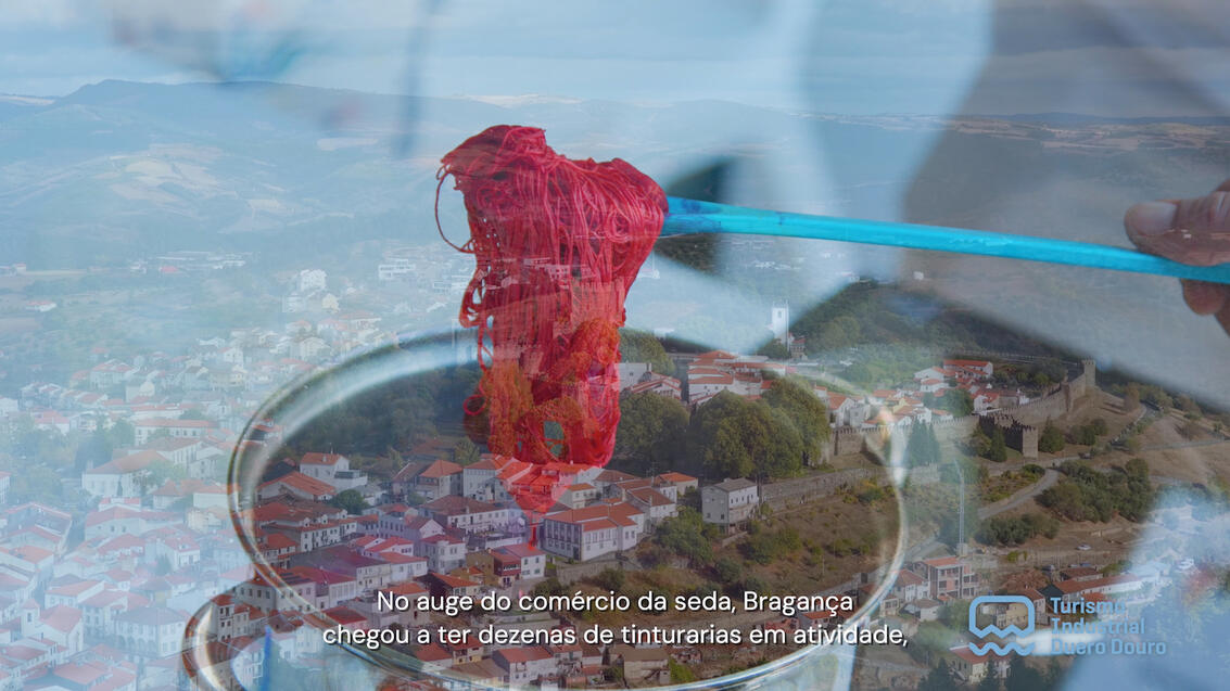 CIM Terras de Trás os Montes